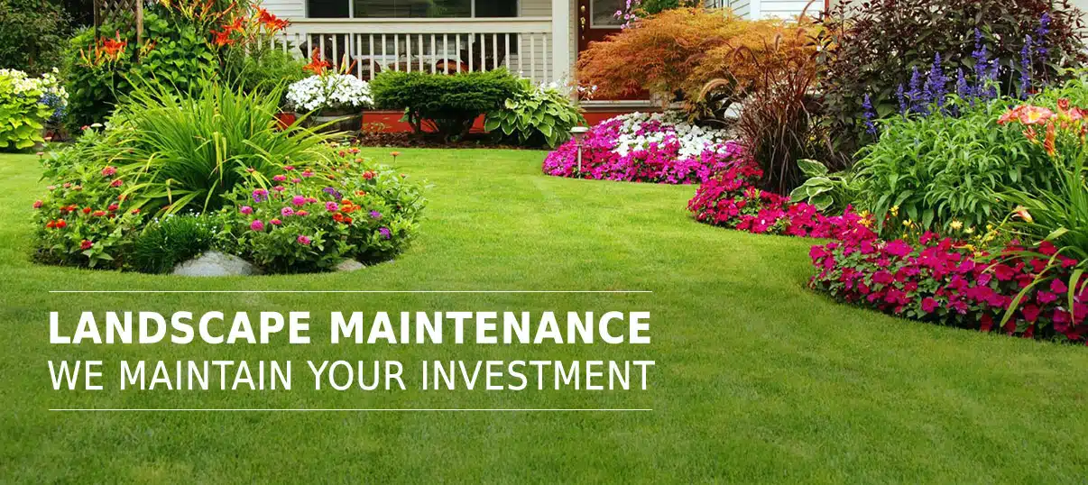 Property Maintenance